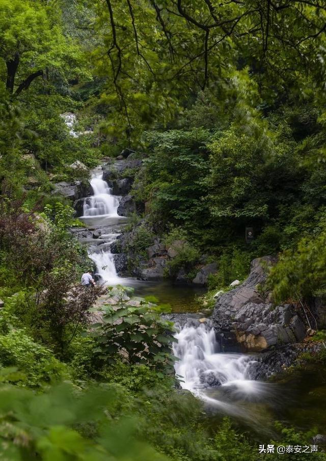 春雨直播app