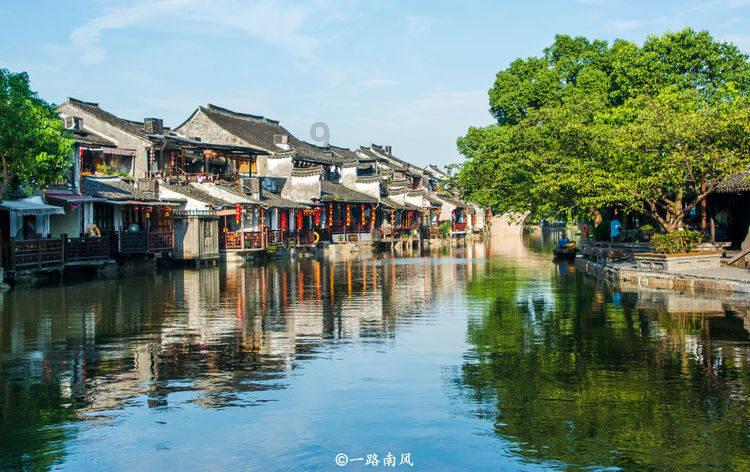 可爱啄木鸟逃脱